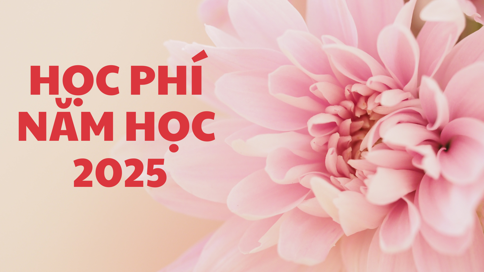 Học phí năm 2025